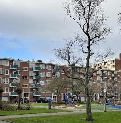 Gemeente Amsterdam stopt verzet tegen sloop 364 corporatiewoningen in Amsterdam West
