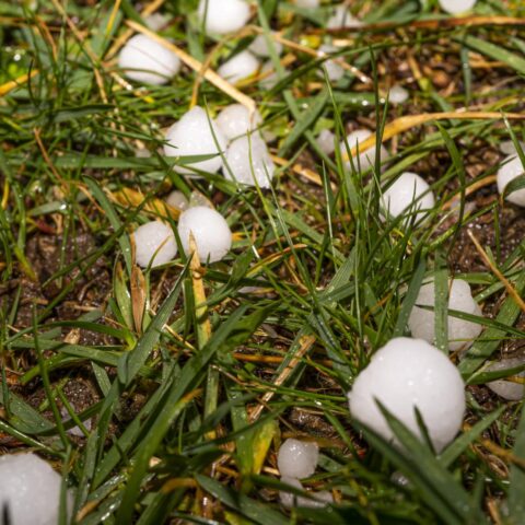 Hagelstenen ter grootte van pingpongballen beschadigen Koudekerke en Dishoek, bliksem beschadigt woningen en auto’s