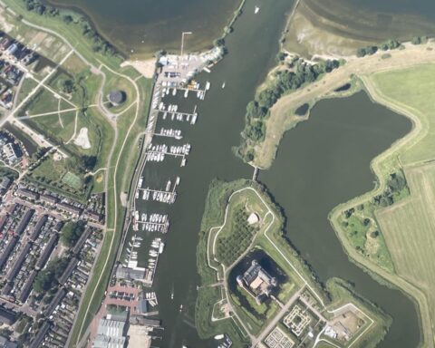 Honden worden ziek en sterven na het zwemmen in het IJmeer bij Amsterdam en Almere