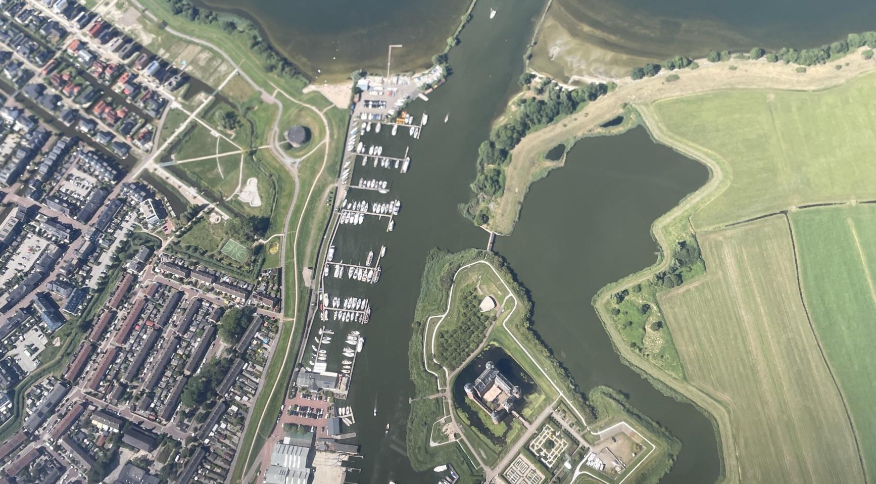 Honden worden ziek en sterven na het zwemmen in het IJmeer bij Amsterdam en Almere