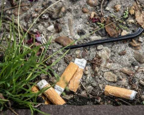 Kabinet wil geen nationaal verbod op wegwerpplastics, streeft naar Europese oplossing