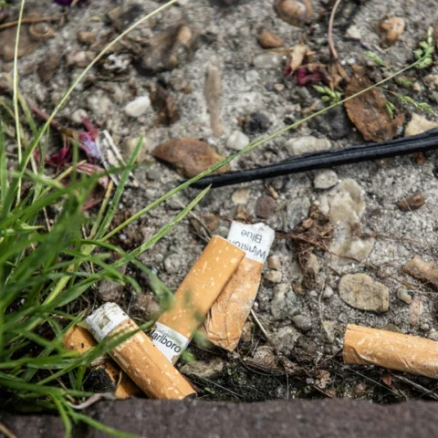 Kabinet wil geen nationaal verbod op wegwerpplastics, streeft naar Europese oplossing