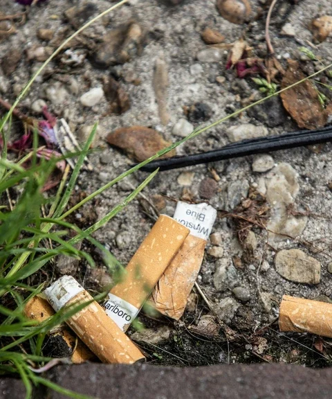 Kabinet wil geen nationaal verbod op wegwerpplastics, streeft naar Europese oplossing