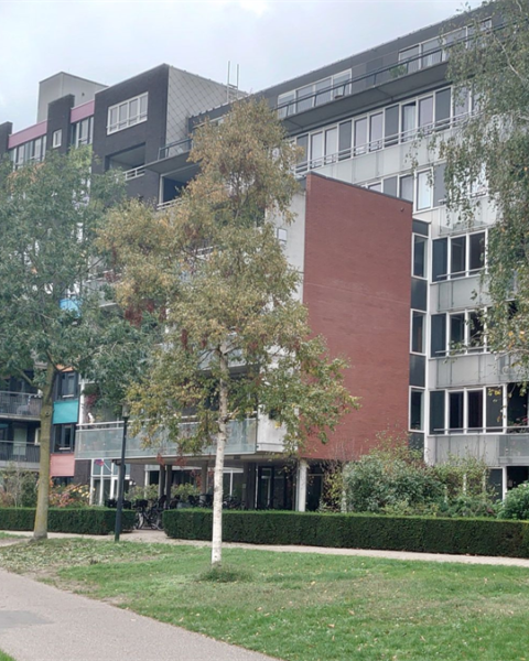 Manifest voor meer groen in steden als antwoord op hitte en wateroverlast