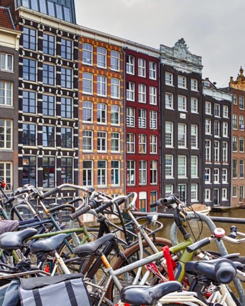 Meer dan 800.000 Nederlanders wonen in warme gebieden zonder voldoende bomen en groen