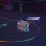 Nederlandse bedrijven importeerden voor €2 miljard aan gevaarlijke designerdrugs uit India