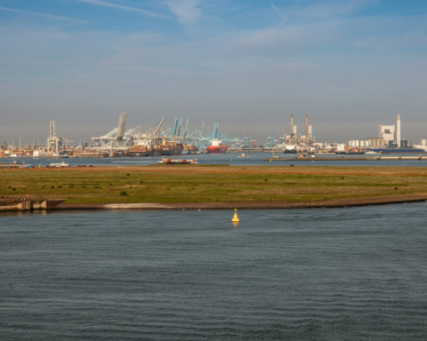 Rotterdam ontwikkelt 38 hectare Food Hub met Necron en PTP voor agrofoodlogistiek