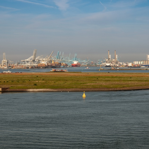 Rotterdam ontwikkelt 38 hectare Food Hub met Necron en PTP voor agrofoodlogistiek