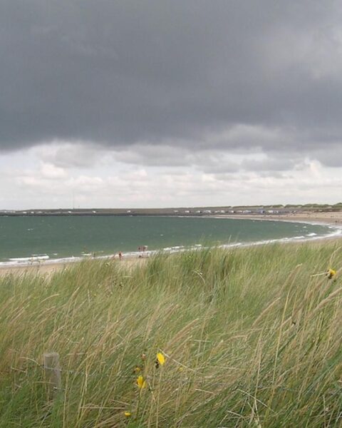 Surfer overleden op strand Ouddorp; kitesurfer een dag eerder omgekomen in Rockanje