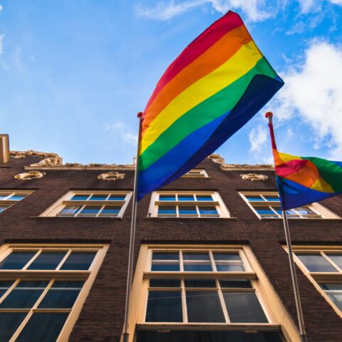 Tweede Kamer steunt meerderheid voor verbod op conversietherapie voor homoseksuelen