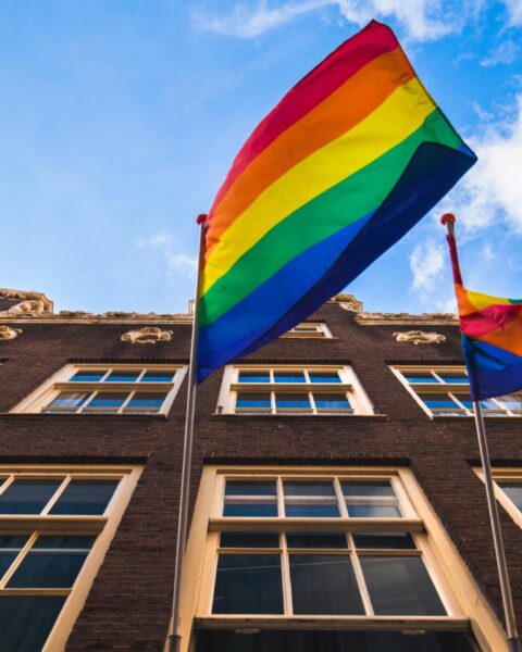 Tweede Kamer steunt meerderheid voor verbod op conversietherapie voor homoseksuelen