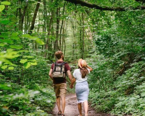 Utrecht start gratis bosbus om jongeren te helpen stress te verminderen in de natuur