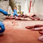 Vijlbrief stelt uitzendverbod voor vleessector in het vooruitzicht bij onvoldoende verbetering arbeidsmigranten