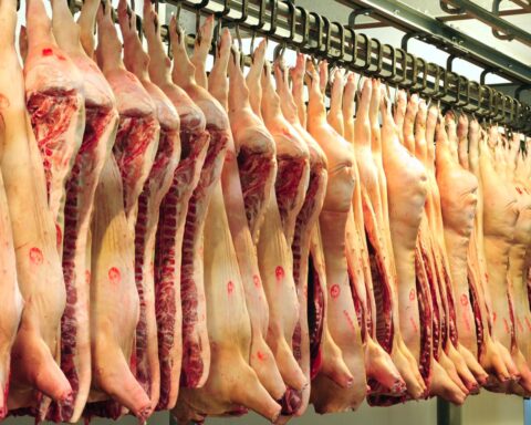 Vleesindustrie belooft opnieuw verbetering na dreiging verbod op buitenlandse werknemers