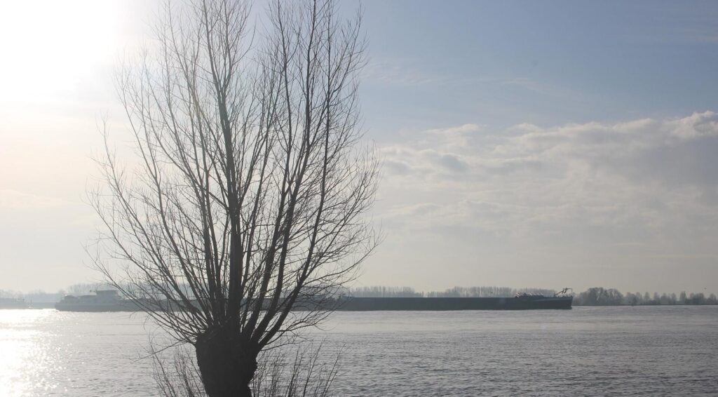Vrouw (42) verdrinkt in de Waal na kinderen uit het water te redden