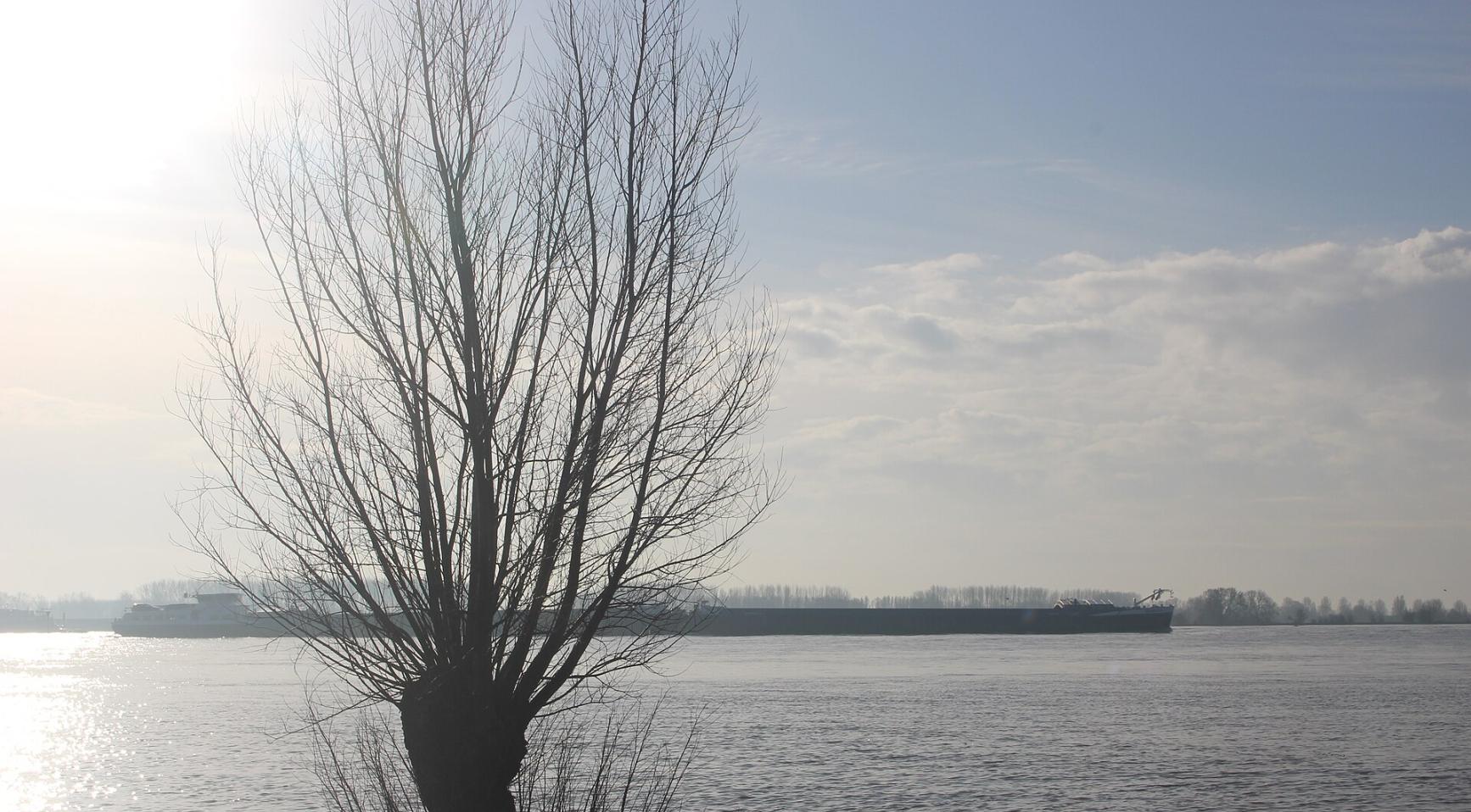 Vrouw (42) verdrinkt in de Waal na kinderen uit het water te redden