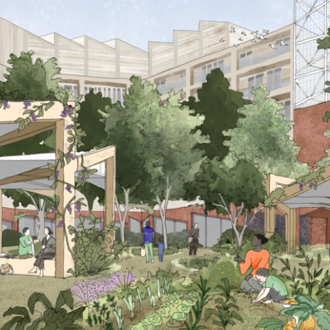 Barendrecht zet stappen voor 2.000 nieuwe woningen en goedkeuring van community woonconcept Casa Limo