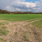 Belgische belegger verliest rechtszaak tegen De Twaalf Provinciën over misleidende grondtransactie