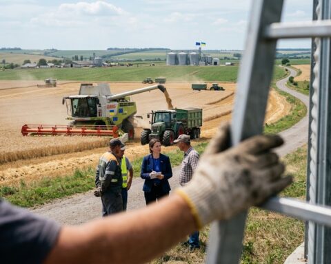 Oekraïense landbouwintegratie met EU creëert grootste voedselcluster ter wereld
