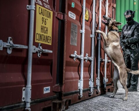 Douane onderschept 106 miljoen illegale sigaretten; smokkel van tabak als inkomstenmodel voor criminelen