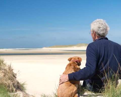 Einde regionale hittegolf in Nederland terwijl temperaturen dalen