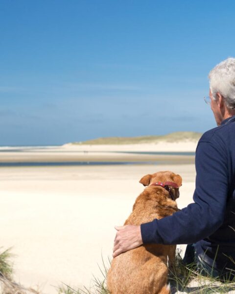 Einde regionale hittegolf in Nederland terwijl temperaturen dalen