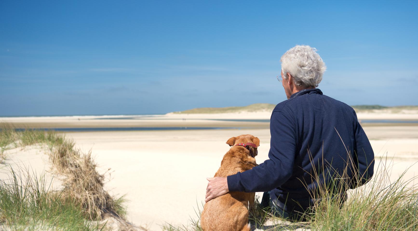 Einde regionale hittegolf in Nederland terwijl temperaturen dalen