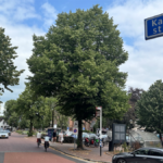 Herziene geschiedenis van de Kalverstraat: van marktstraat naar winkelbestemming in Amsterdam