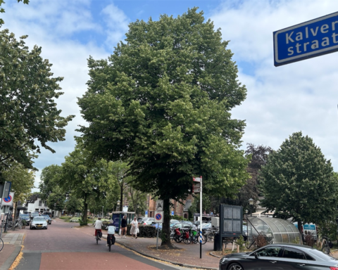 Herziene geschiedenis van de Kalverstraat: van marktstraat naar winkelbestemming in Amsterdam
