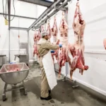 Kabinet overweegt verbod op uitzendkrachten in vleessector, besluit morgen verwacht