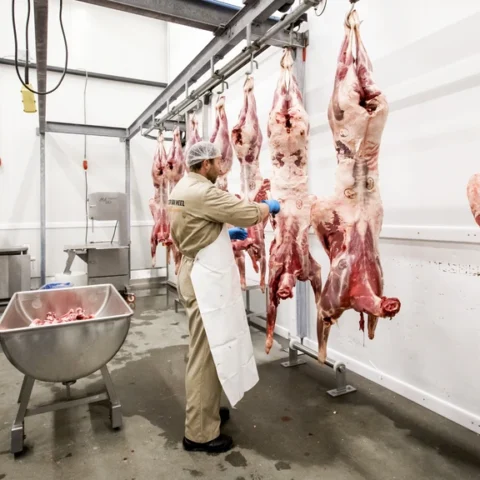 Kabinet overweegt verbod op uitzendkrachten in vleessector, besluit morgen verwacht