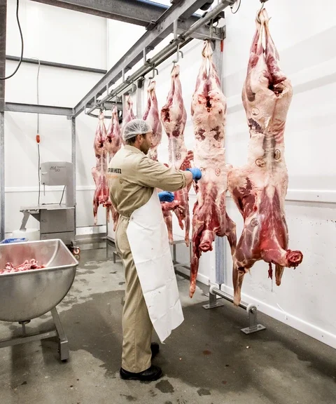 Kabinet overweegt verbod op uitzendkrachten in vleessector, besluit morgen verwacht