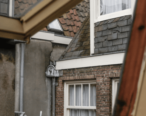 Klimaatverandering en vergrijzing kunnen hittegerelateerde sterfgevallen in Amsterdam verdubbelen