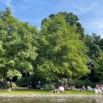 Nederland registreert zes dagen met "extreme hitte" boven de 35 graden dit jaar