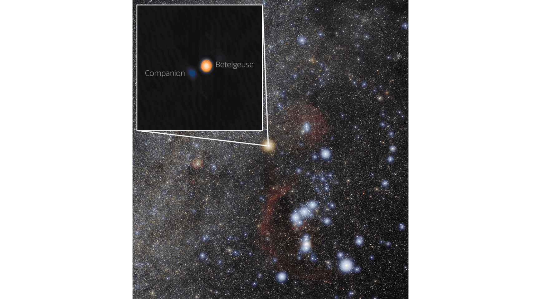 Nederlandse astronoom helpt partnerster rond Betelgeuse te vinden na een zoektocht van “een eeuw”