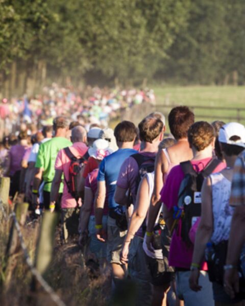 Nieuwe generatie jonge wandelaars verandert imago van de Nijmeegse Vierdaagse