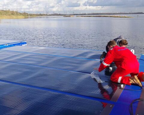 Oppervlakte van zonnepanelen in Nederland verviervoudigd in vijf jaar door grootschalige projecten