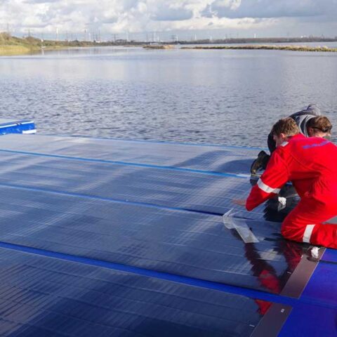 Oppervlakte van zonnepanelen in Nederland verviervoudigd in vijf jaar door grootschalige projecten