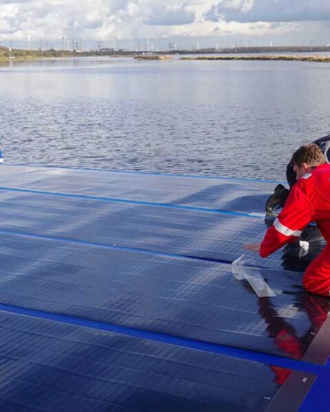 Oppervlakte van zonnepanelen in Nederland verviervoudigd in vijf jaar door grootschalige projecten