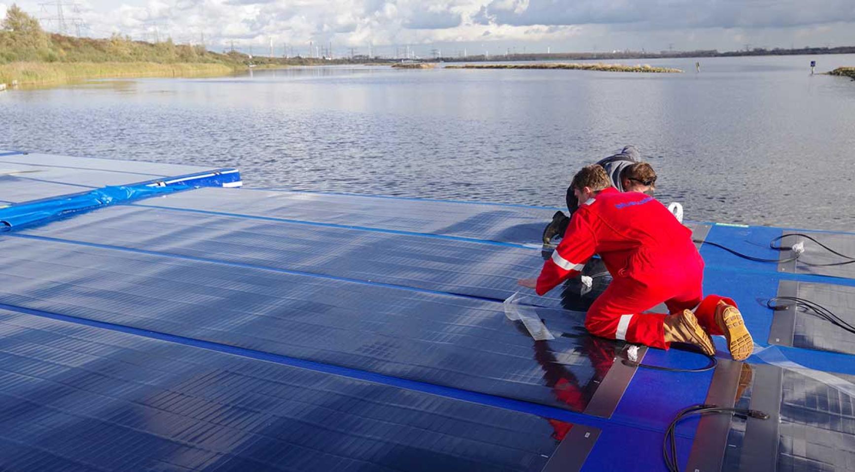 Oppervlakte van zonnepanelen in Nederland verviervoudigd in vijf jaar door grootschalige projecten