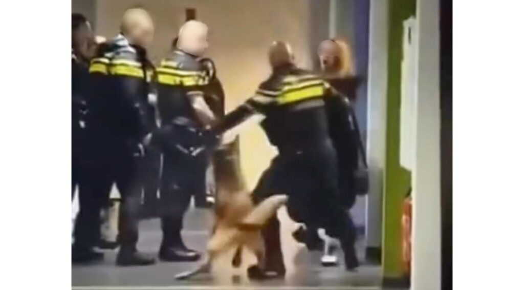 Politie verdedigt gebruik van geweld bij arrestatie van zwangere vrouw in Zeist
