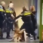 Politie verdedigt gebruik van geweld bij arrestatie van zwangere vrouw in Zeist