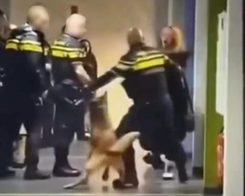 Politie verdedigt gebruik van geweld bij arrestatie van zwangere vrouw in Zeist