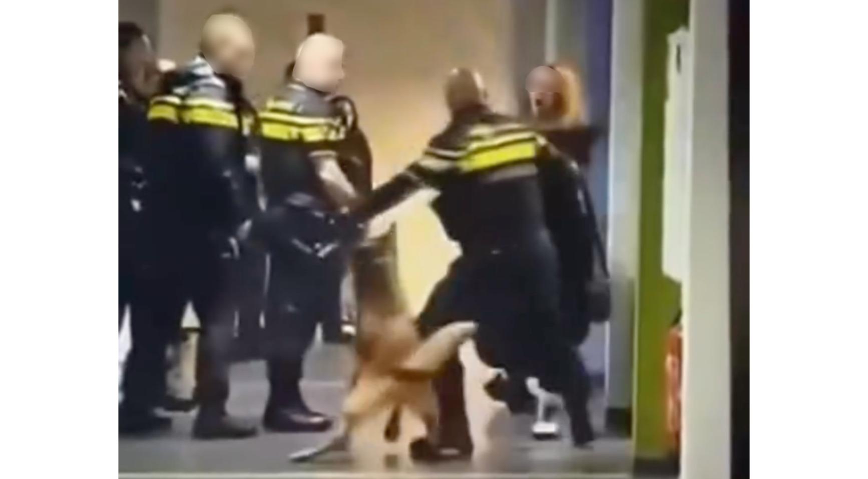 Politie verdedigt gebruik van geweld bij arrestatie van zwangere vrouw in Zeist