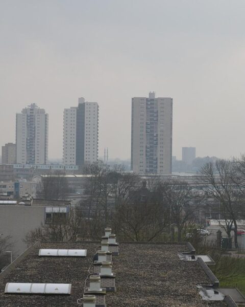 Rotterdam beperkt toegang tot De Esch-district 's nachts tot alleen bewoners en werkenden