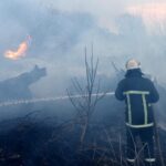Sunweb en Corendon evacueren Nederlandse reizigers vanwege bosbrand op Kreta