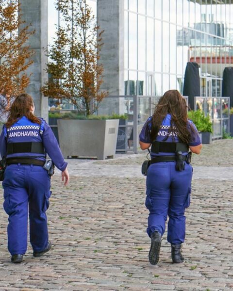 VVD dient opnieuw wetsvoorstel in voor verbod op religieuze symbolen door handhavers