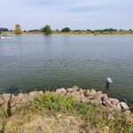 Waterstanden in Nederlandse rivieren uitzonderlijk laag voor deze tijd van het jaar