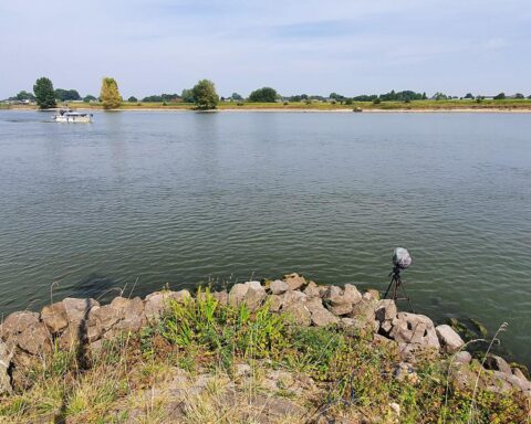 Waterstanden in Nederlandse rivieren uitzonderlijk laag voor deze tijd van het jaar