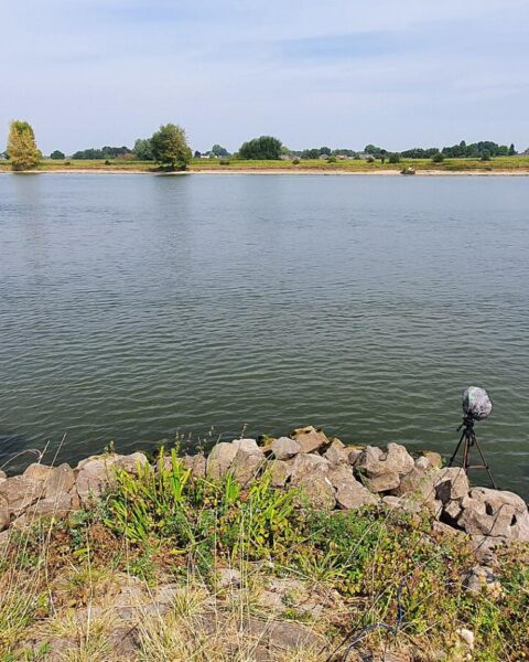 Waterstanden in Nederlandse rivieren uitzonderlijk laag voor deze tijd van het jaar